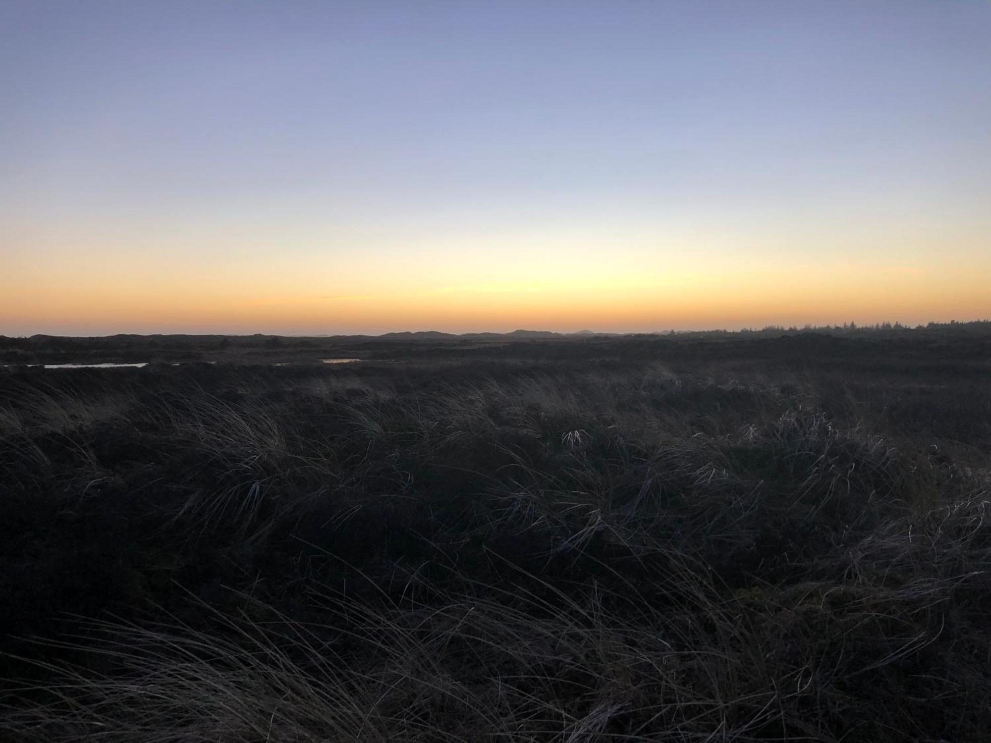The Beach Farm - Charm, Beach And Stunning Nature Bedsted Thy Zewnętrze zdjęcie
