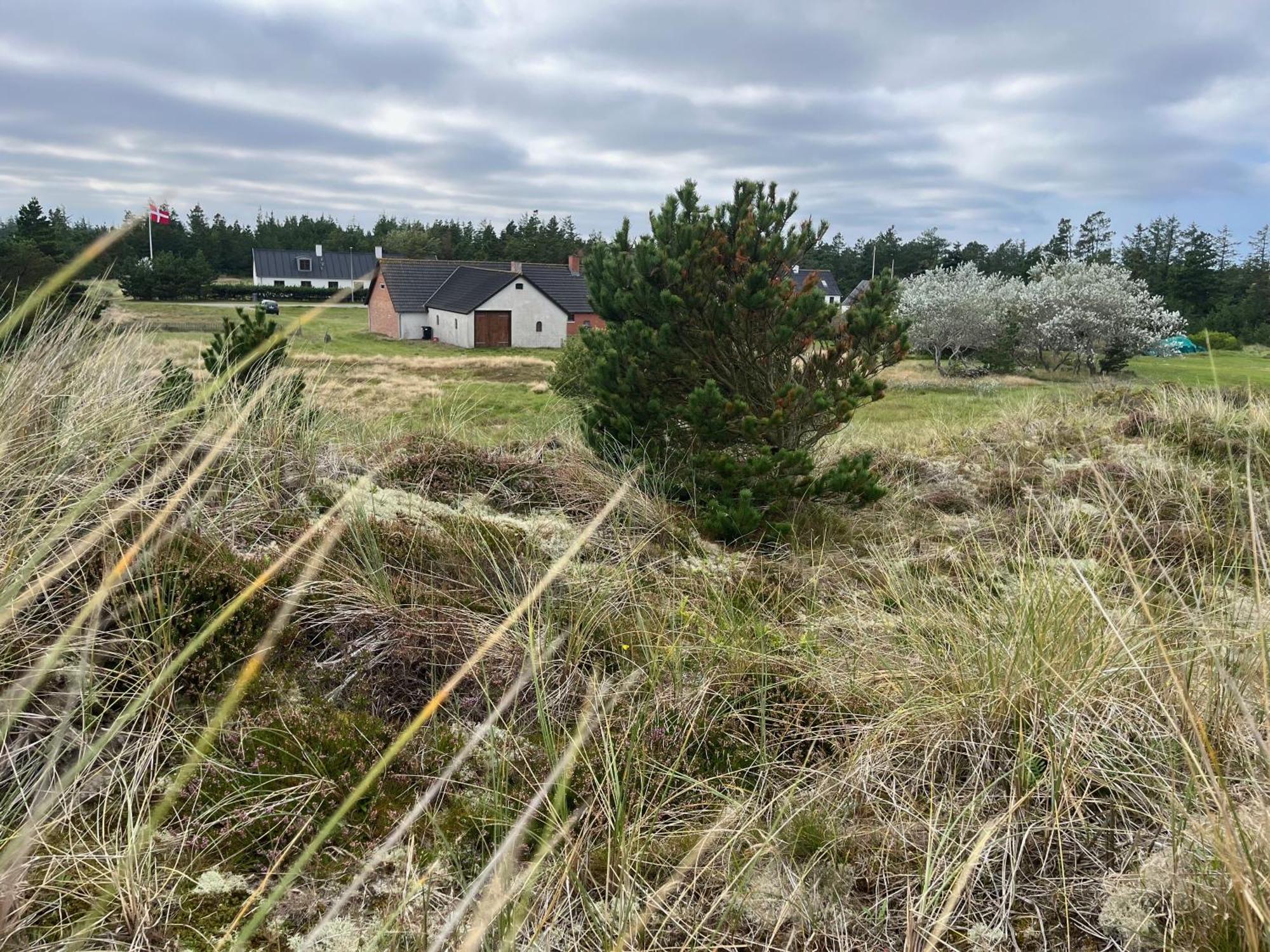 The Beach Farm - Charm, Beach And Stunning Nature Bedsted Thy Zewnętrze zdjęcie