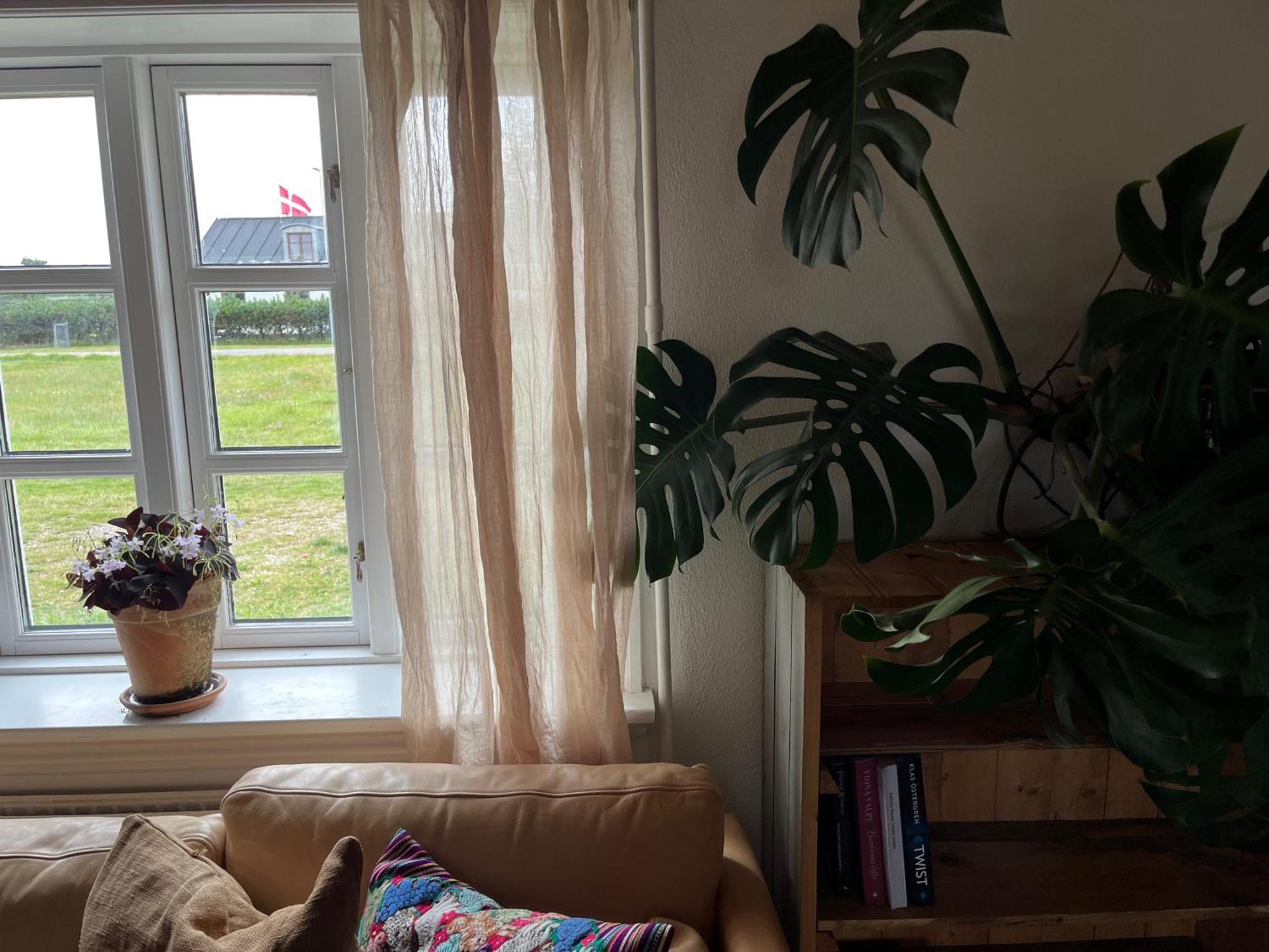 The Beach Farm - Charm, Beach And Stunning Nature Bedsted Thy Zewnętrze zdjęcie
