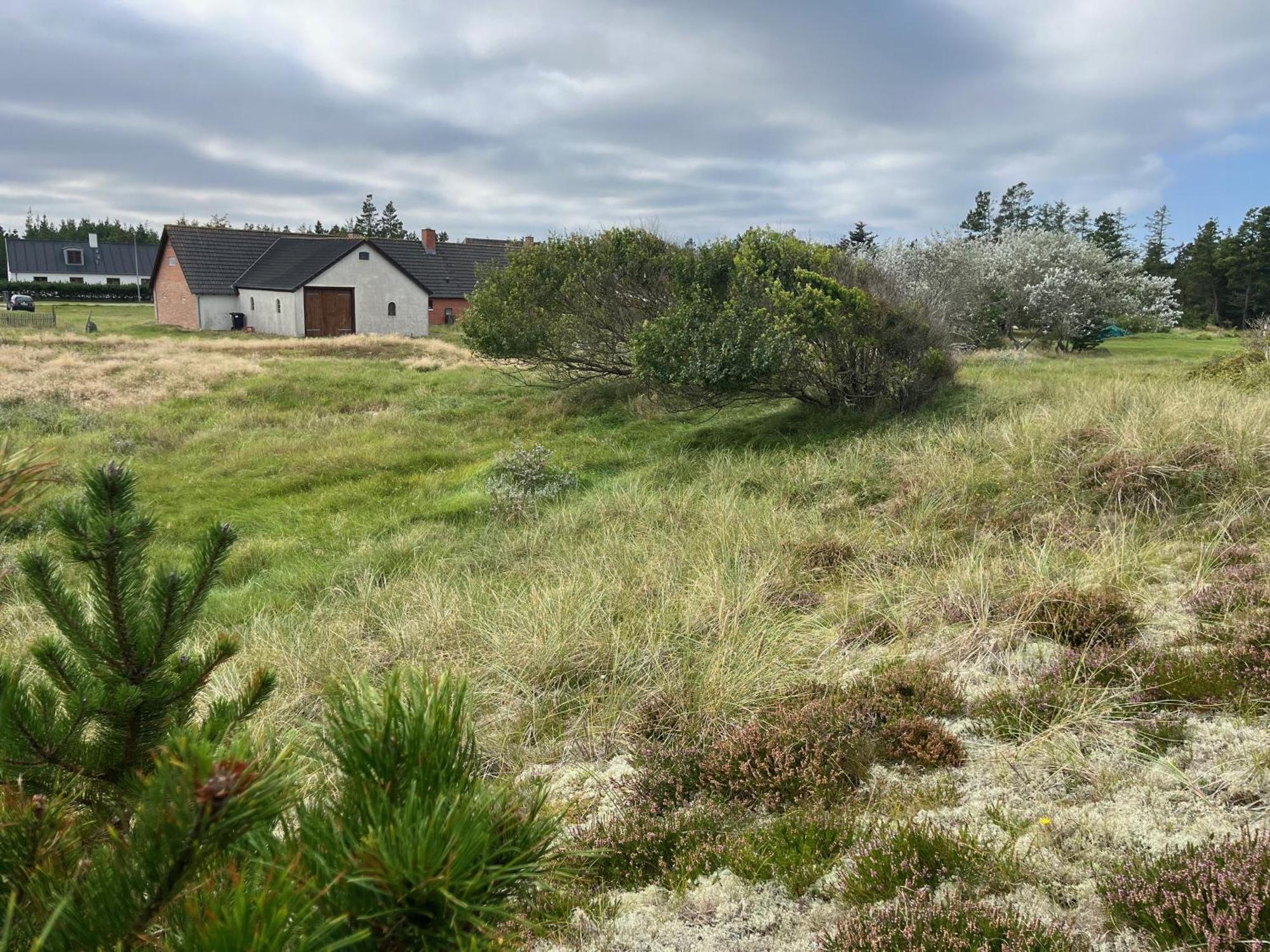 The Beach Farm - Charm, Beach And Stunning Nature Bedsted Thy Zewnętrze zdjęcie