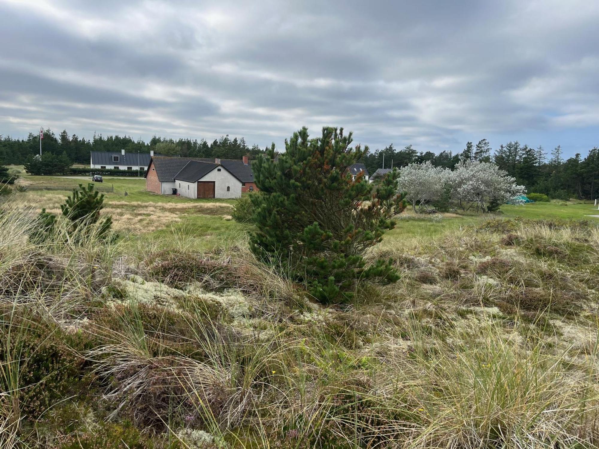 The Beach Farm - Charm, Beach And Stunning Nature Bedsted Thy Zewnętrze zdjęcie