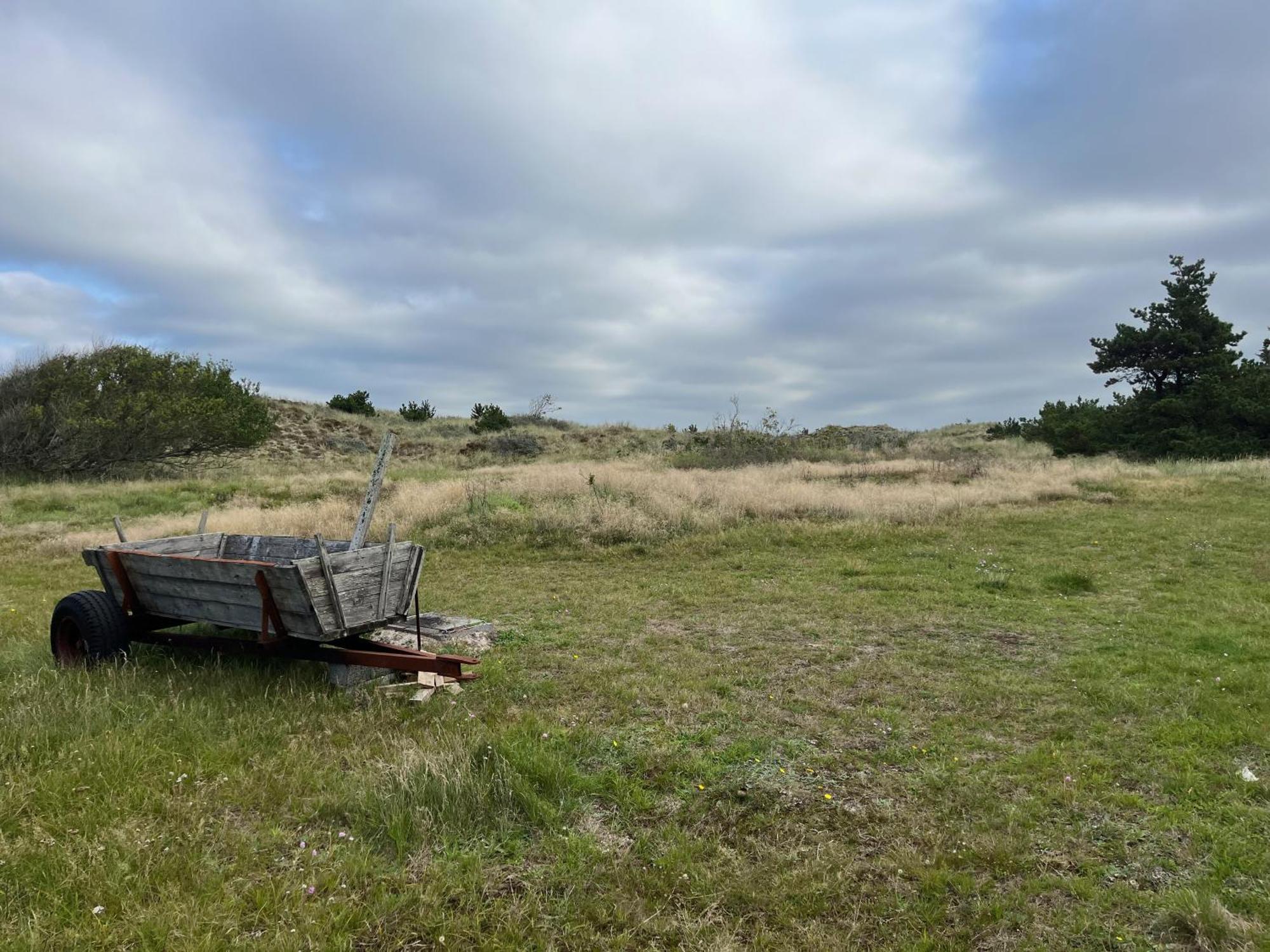 The Beach Farm - Charm, Beach And Stunning Nature Bedsted Thy Zewnętrze zdjęcie