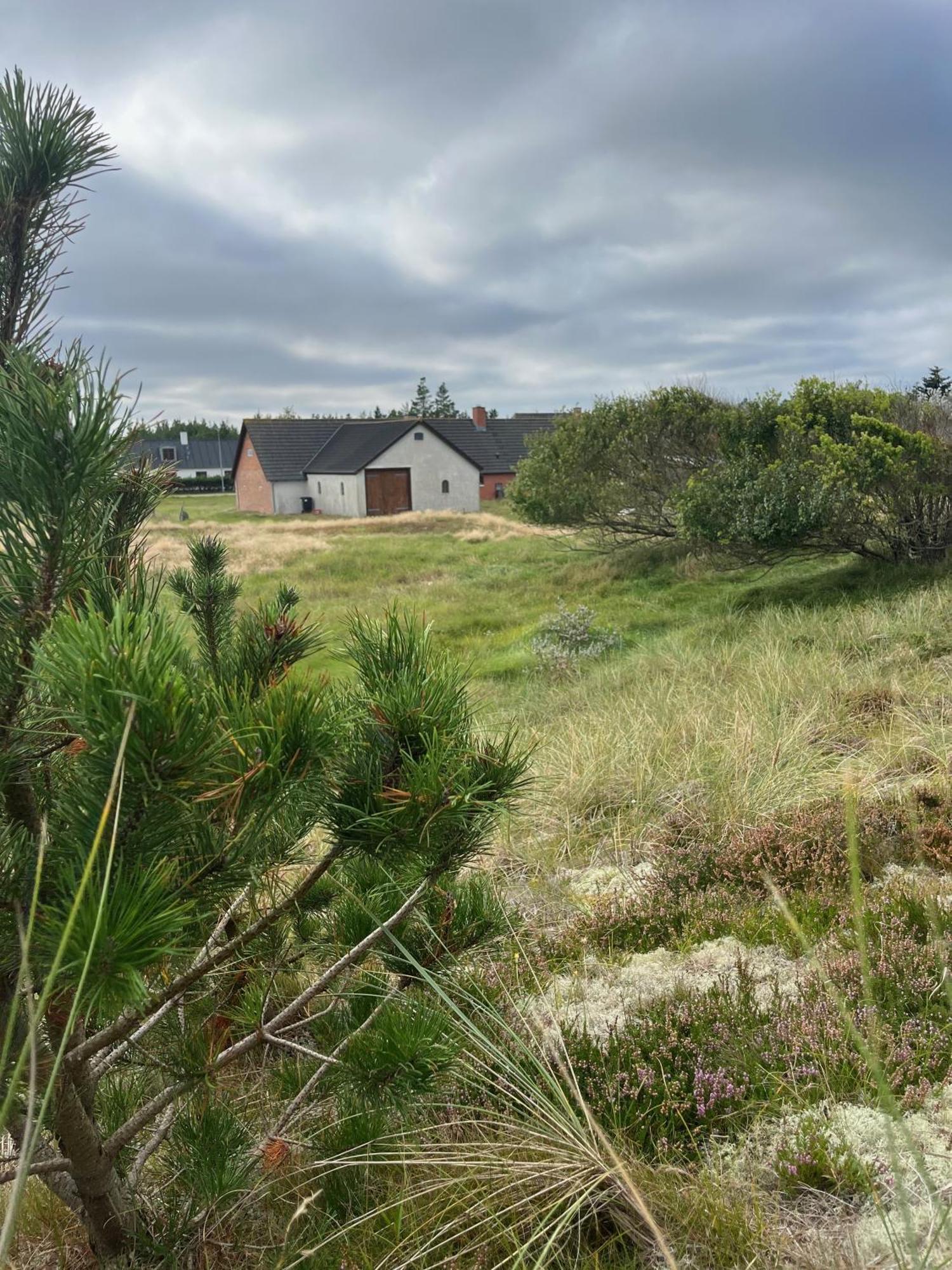 The Beach Farm - Charm, Beach And Stunning Nature Bedsted Thy Zewnętrze zdjęcie