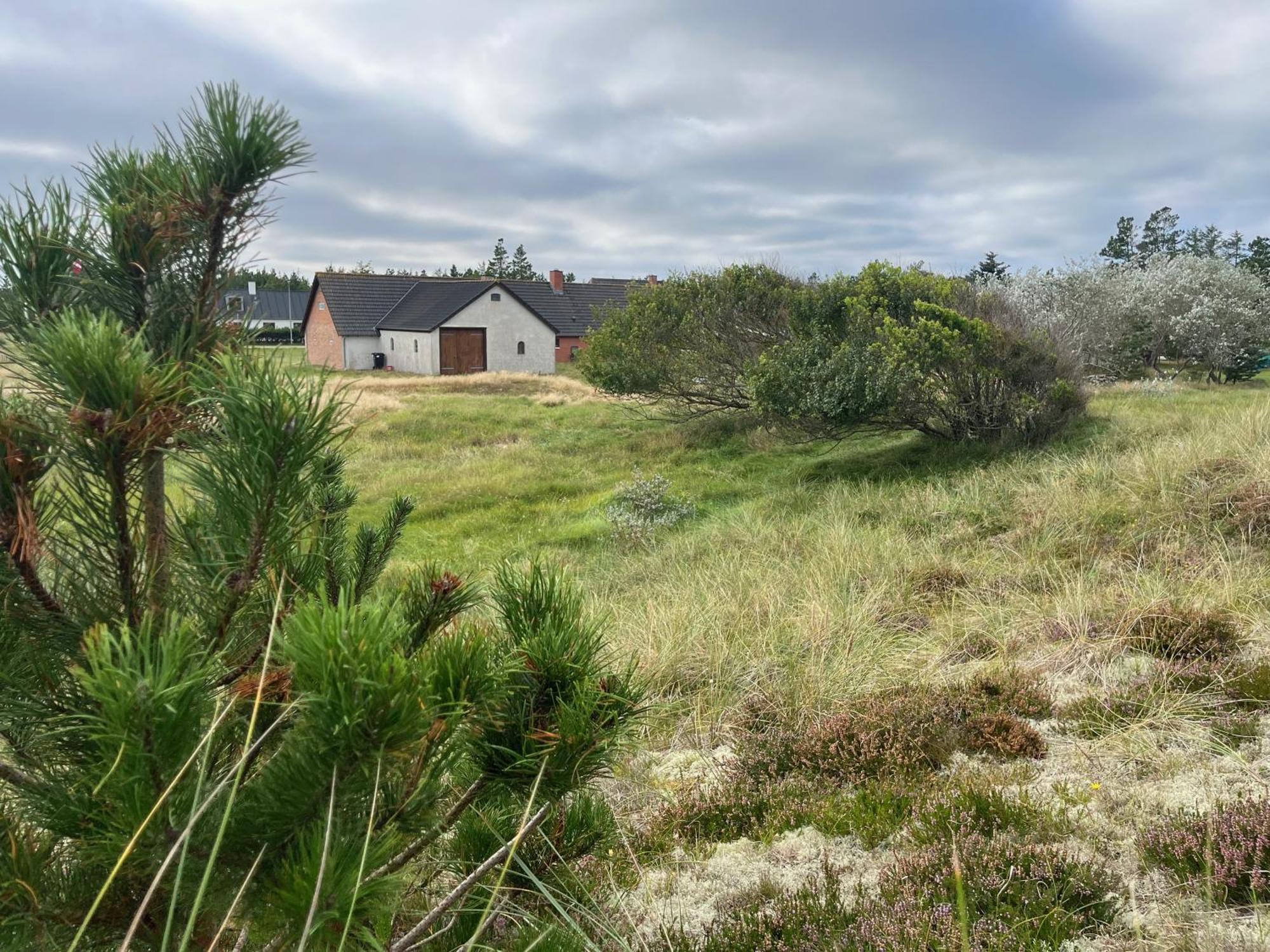 The Beach Farm - Charm, Beach And Stunning Nature Bedsted Thy Zewnętrze zdjęcie