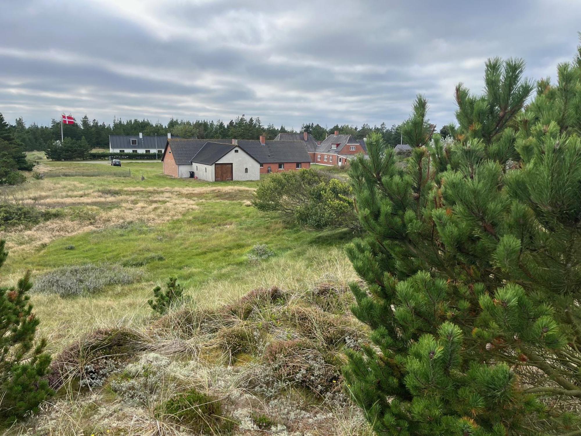 The Beach Farm - Charm, Beach And Stunning Nature Bedsted Thy Zewnętrze zdjęcie
