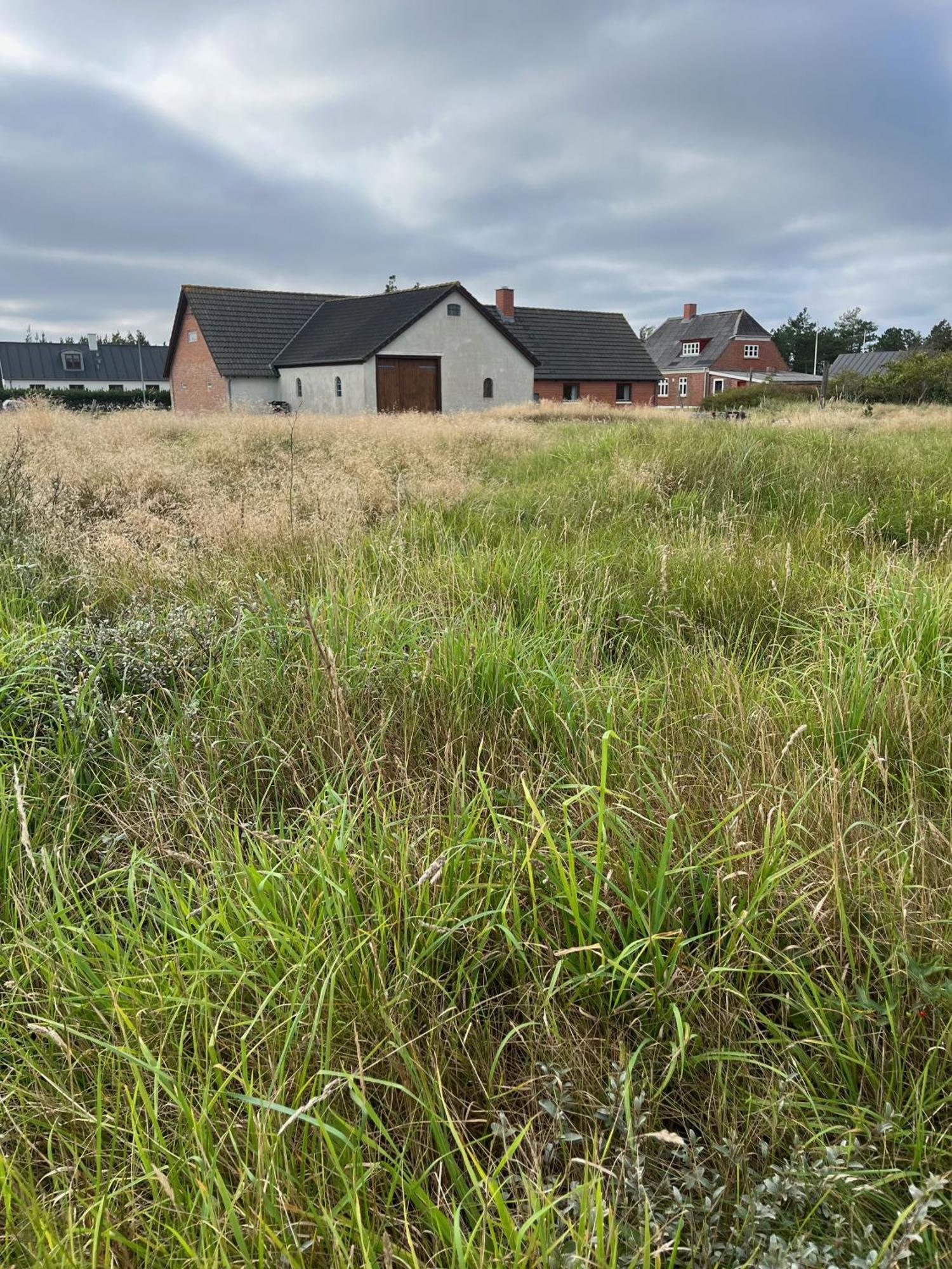 The Beach Farm - Charm, Beach And Stunning Nature Bedsted Thy Zewnętrze zdjęcie